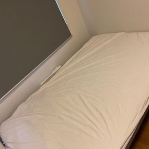 120 cm seng