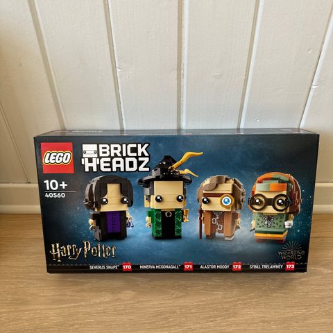 Lego Harry Potter - 40560 Brick Heads