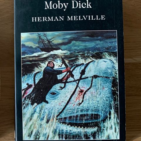 Moby Dick – Herman Melville