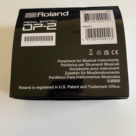 Roland DP-2