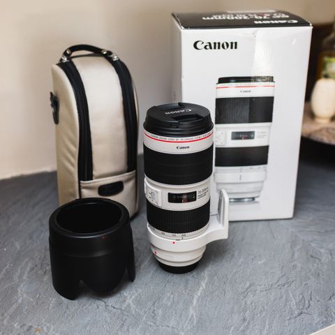 Canon 70-200mm f/2.8L IS III