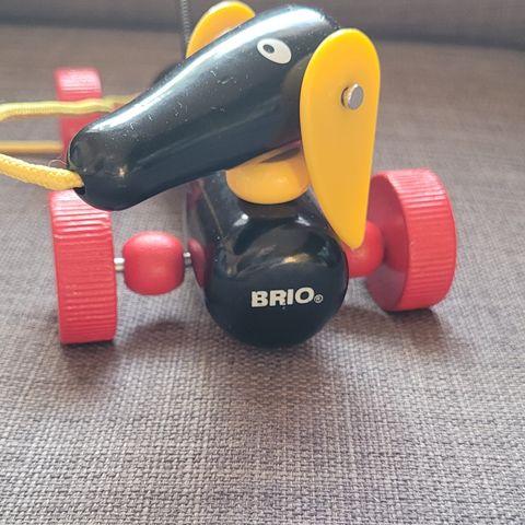 Brio draleke hund