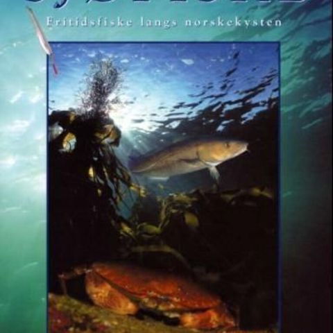 SJØFISKE- Fritidsfiske langs norskekysten  -  Kom forlag  2001