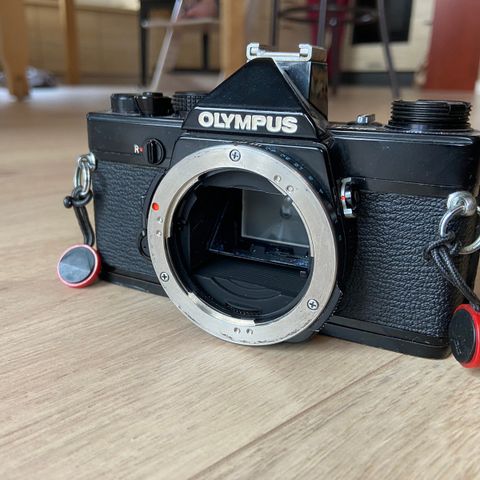 Olympus OM-1