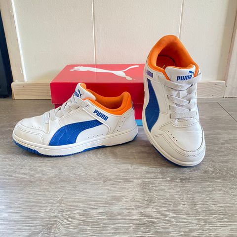 Puma barnesko str 31