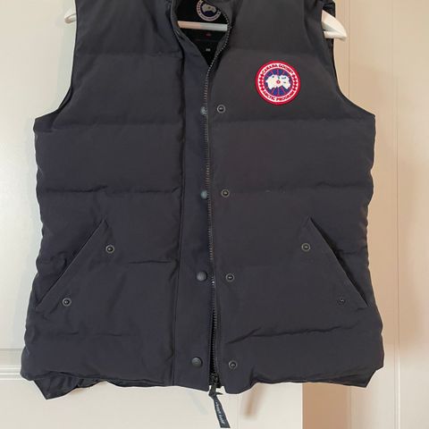 Canada Goose (dame)