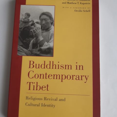 Buddhism in Contemporary Tibet: Religious Revival and Cultural Identity