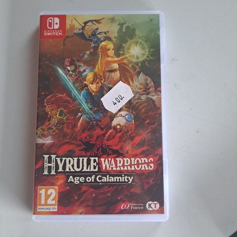 Hyrule Warriors 
Age of calamity