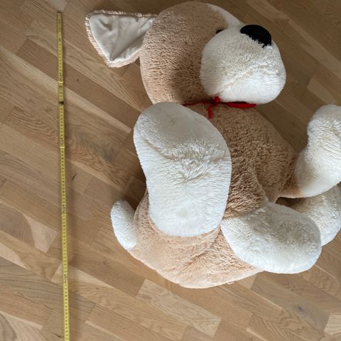 Stor kosebamse hund