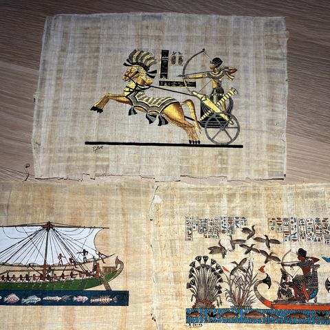 17 papyrus fra Egypt