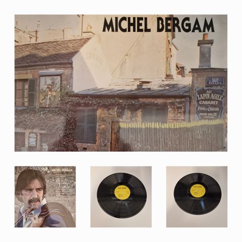 MICHEL BERGAM "A TRAVERS LES RIDEAUX"