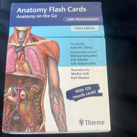 FLASH CARDS anatomy