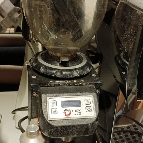 Profesional coffee grinder