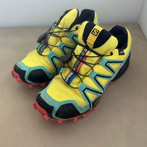 Salomon gtx