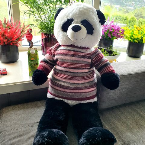 Plysjbamse/kosebamse Panda-Teddy, 100cm