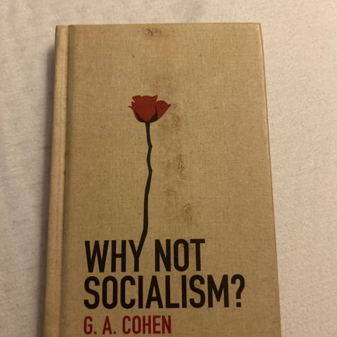 Why not socialism - G.A Cohen