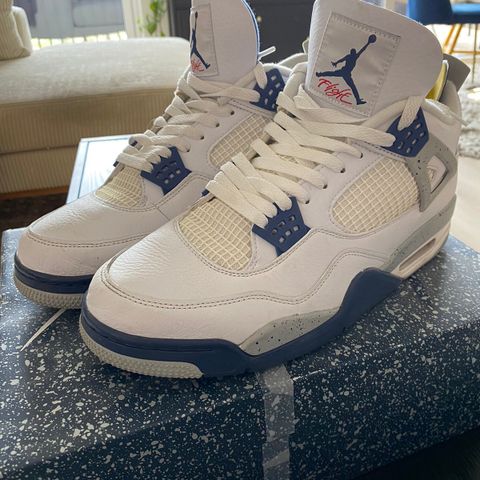 Air Jordan 4 (STR: 47,5)