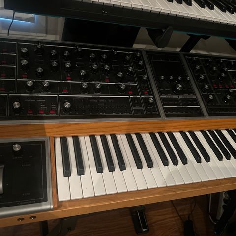 Moog One