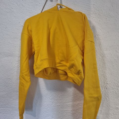 Cropped Hoodie fra Stay
