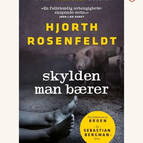 Bok «skylden man bærer» Hjorth Rosenfeldt, Ny!