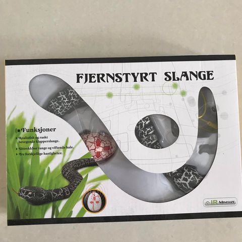 Fjernstyrt slange leke