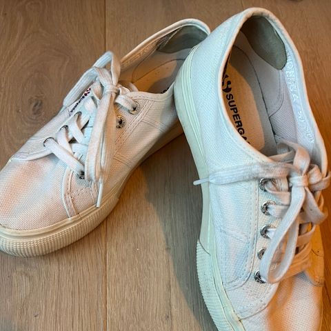 Superga sko str. 38