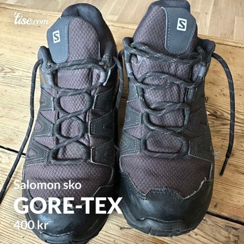 Gore-Tex Salomon sko