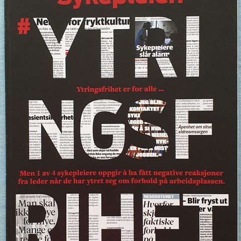 NSF Sykepleien 15. Bokasin(2020) #Ytringsfrihet