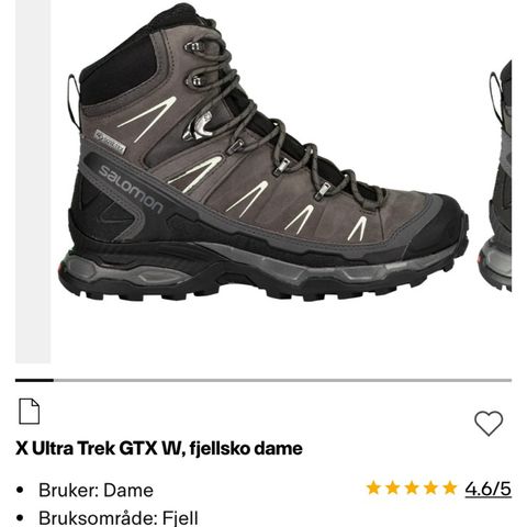 Salomon X Ultra Trek GTX W