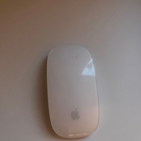 Apple magic mouse