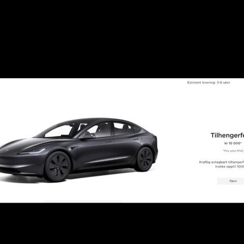Tesla Model 3 hengefeste