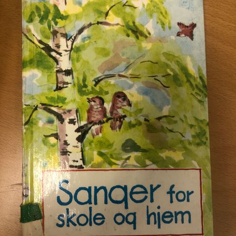 Sanger for skole og hjem. Av Jo M K Sandvik