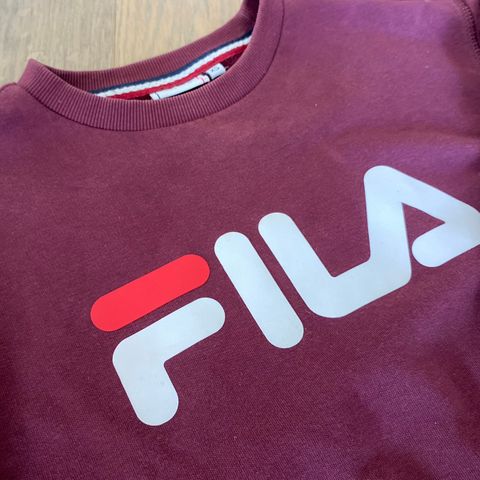 Fila genser