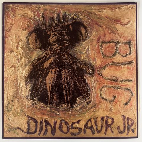 Vinyl Dinosaur jr LP