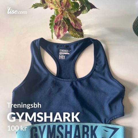 Gymshark Bh