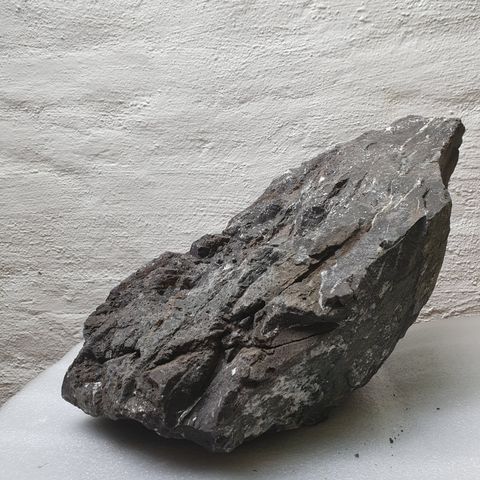 ADA Manten stone  (Main stone. ca 20 kg ) Håndplukket av ADA-teamet i Japan.