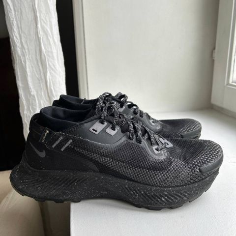 Nike Pegasus Trail Gore Tex Løpesko tursko