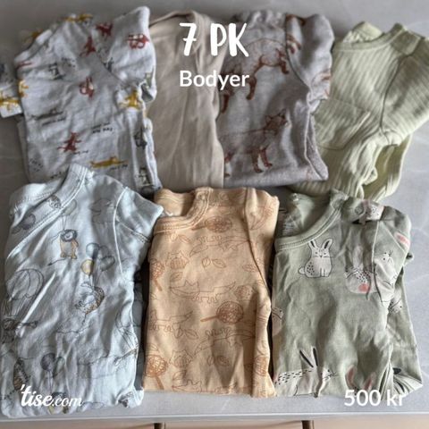 7 pk bodyer