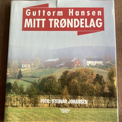 Guttorm Hansen, Mitt Trøndelag