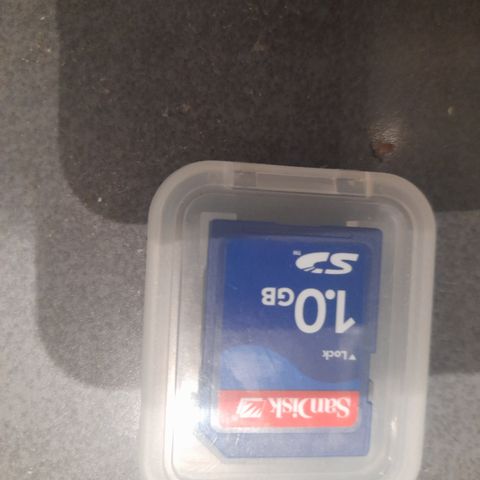 Minnekort 1 GB , 99 kr