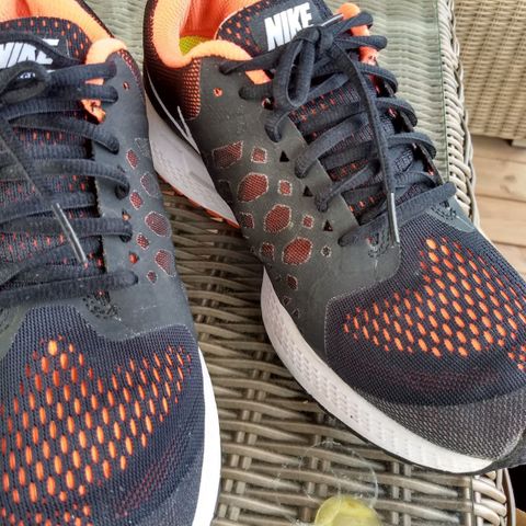 Lite brukte herresko Nike  Zoom pegasus 31 Str42, 5