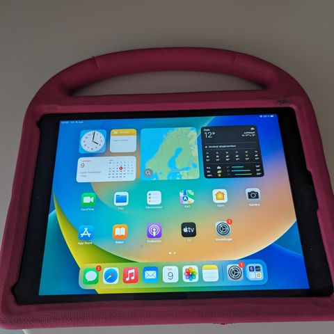 Apple Ipad 32 GB femte generasjon