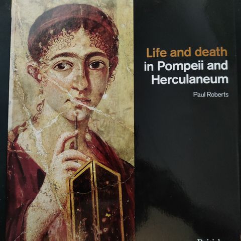 Selger boken Life and Death in Pompeii and Herculaneum