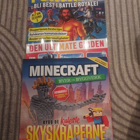 Blader Fortnite, Minecraft