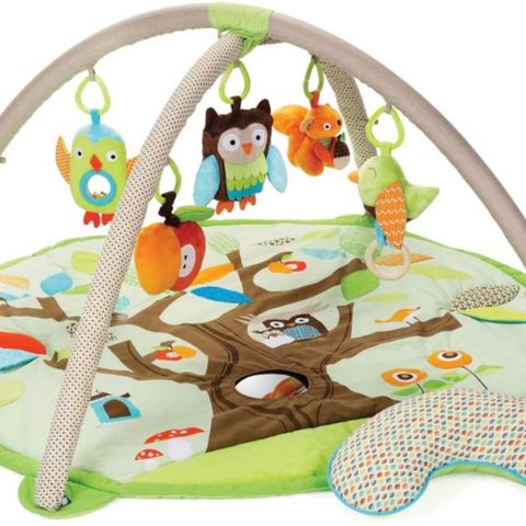 Skip Hop Treetop Friends Classic Babygym