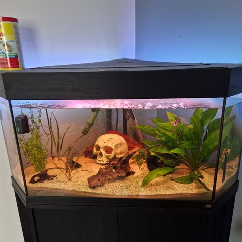 Akvarium ca.120l + masse utstyr