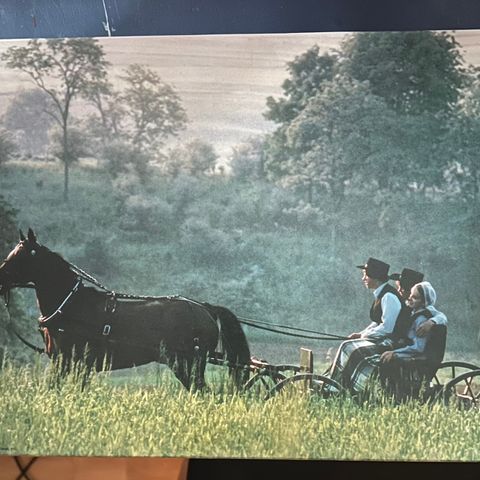 Amish Outing 500pcs Puslespill