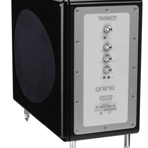 Tannoy TS300