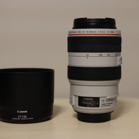 Canon EF 70-300mm F 4-5,6 L IS USM