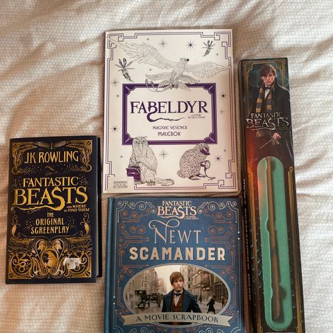 Fantastic Beasts and Where to Find Them pakke!
